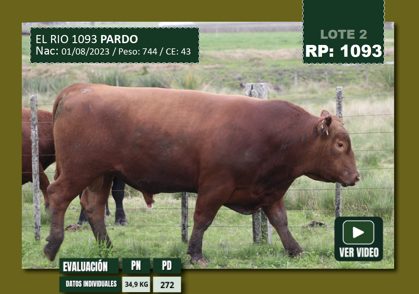 Foto del lote