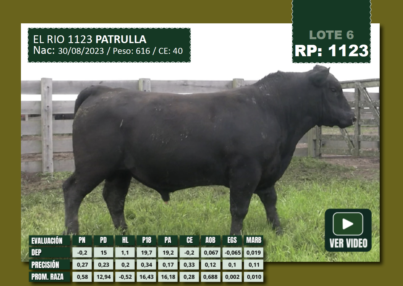 Foto del lote