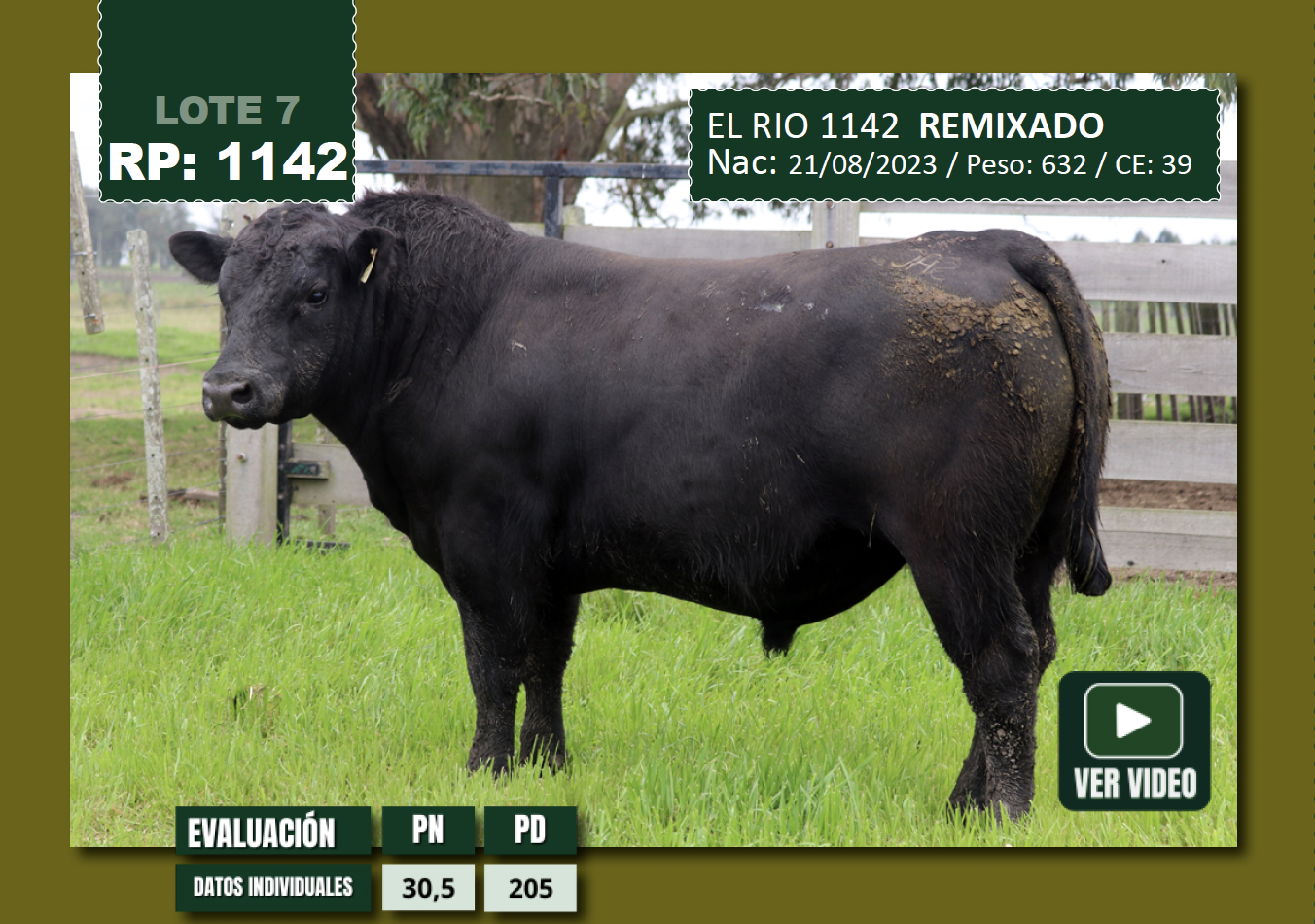 Foto del lote