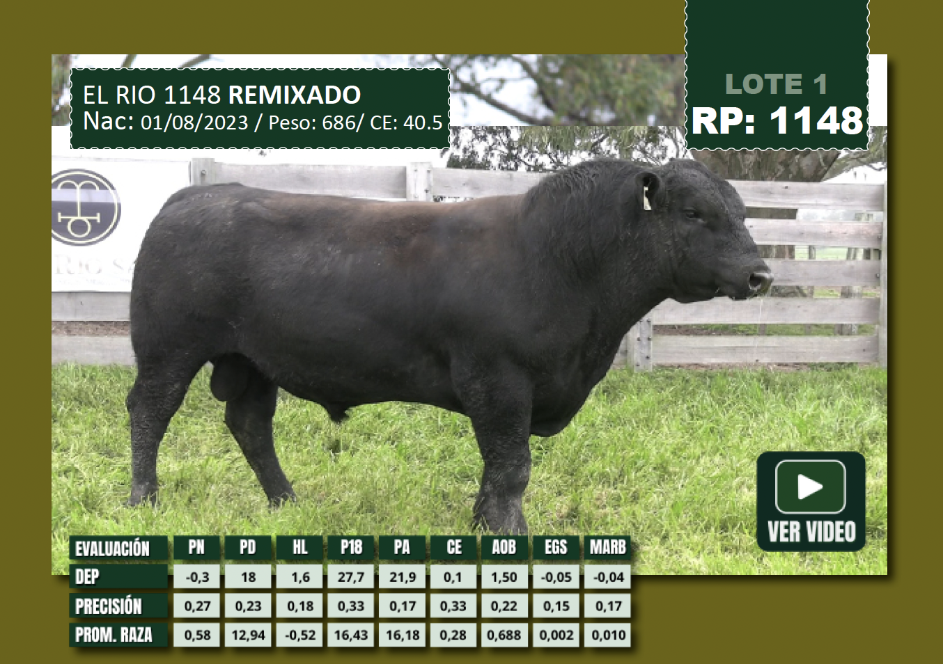 Foto del lote