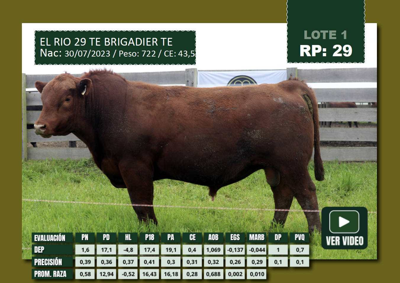 Foto del lote