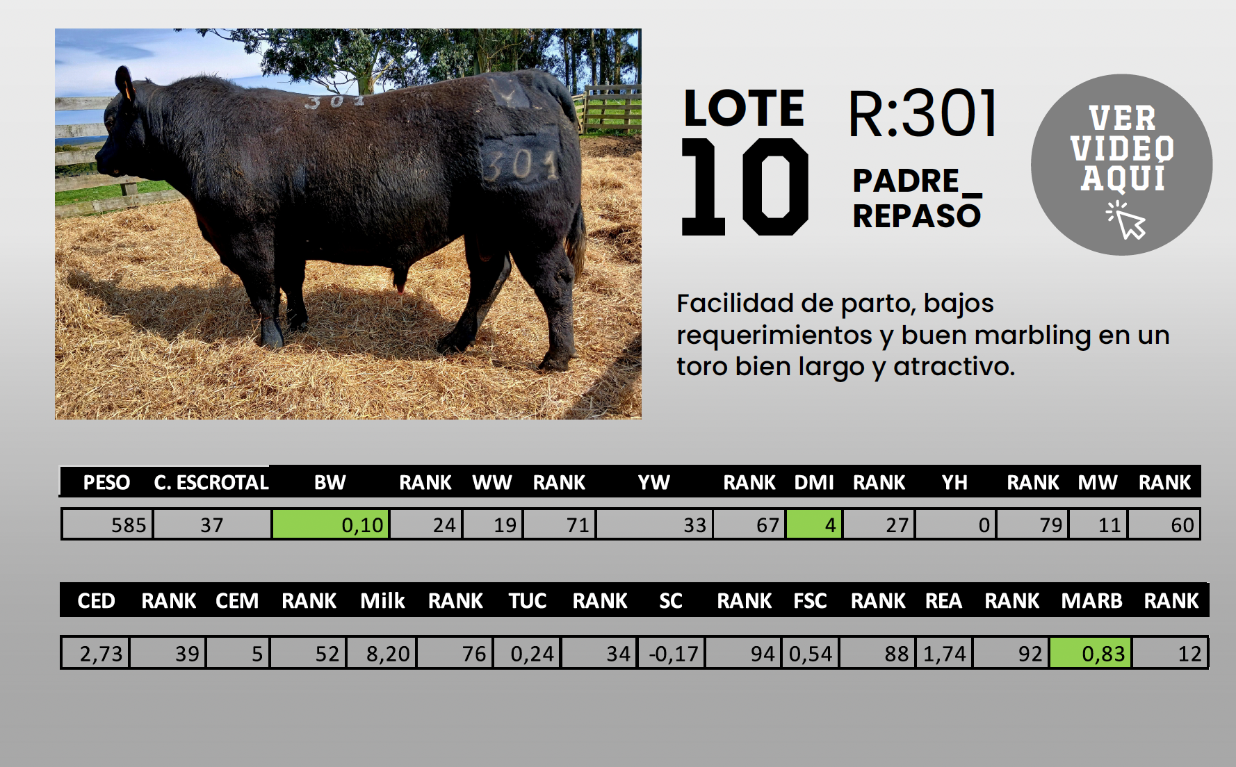 Foto del lote