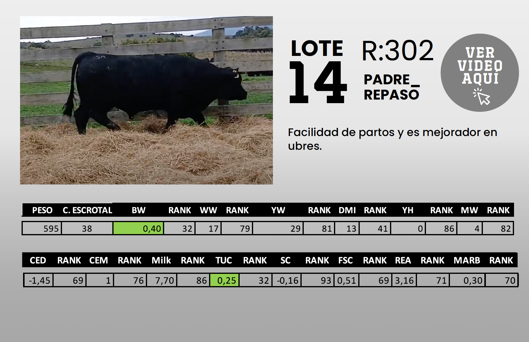 Foto del lote