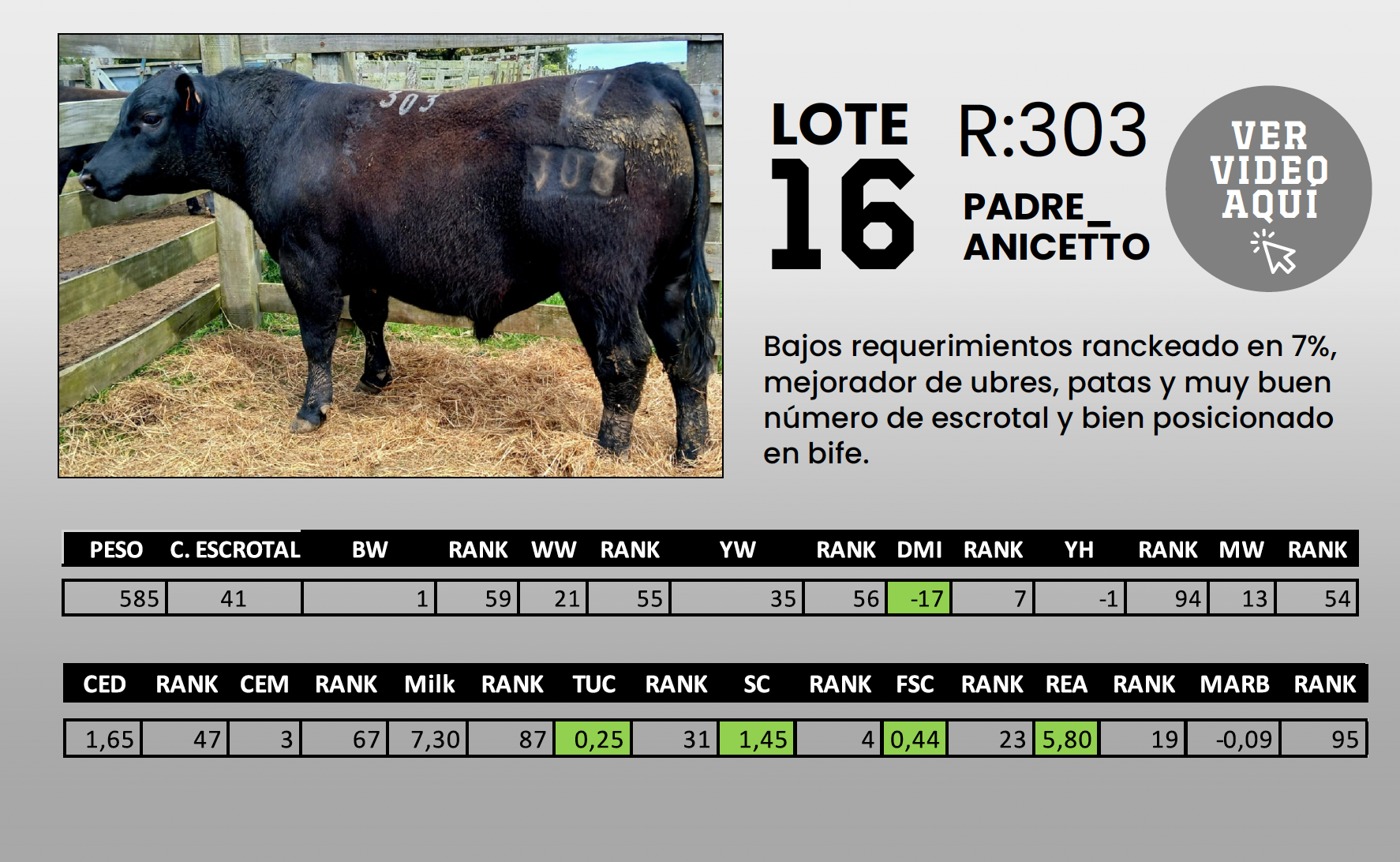 Foto del lote