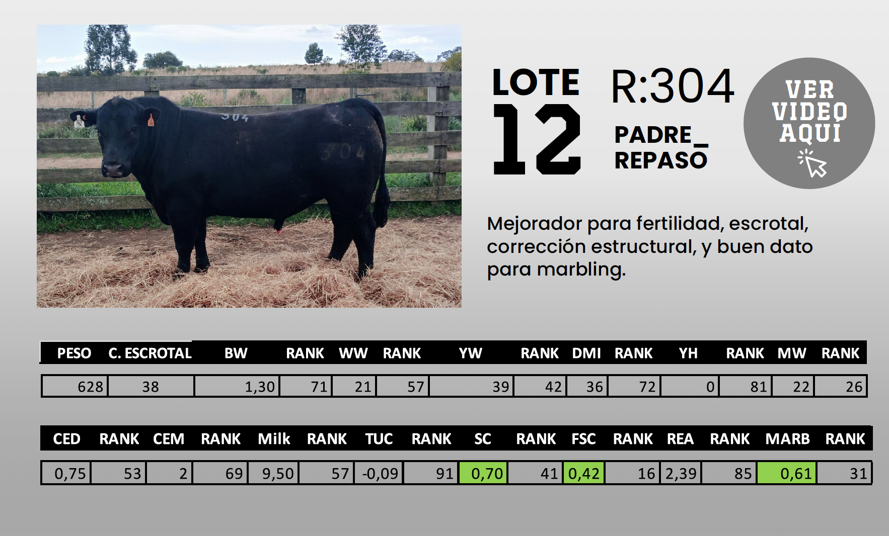 Foto del lote