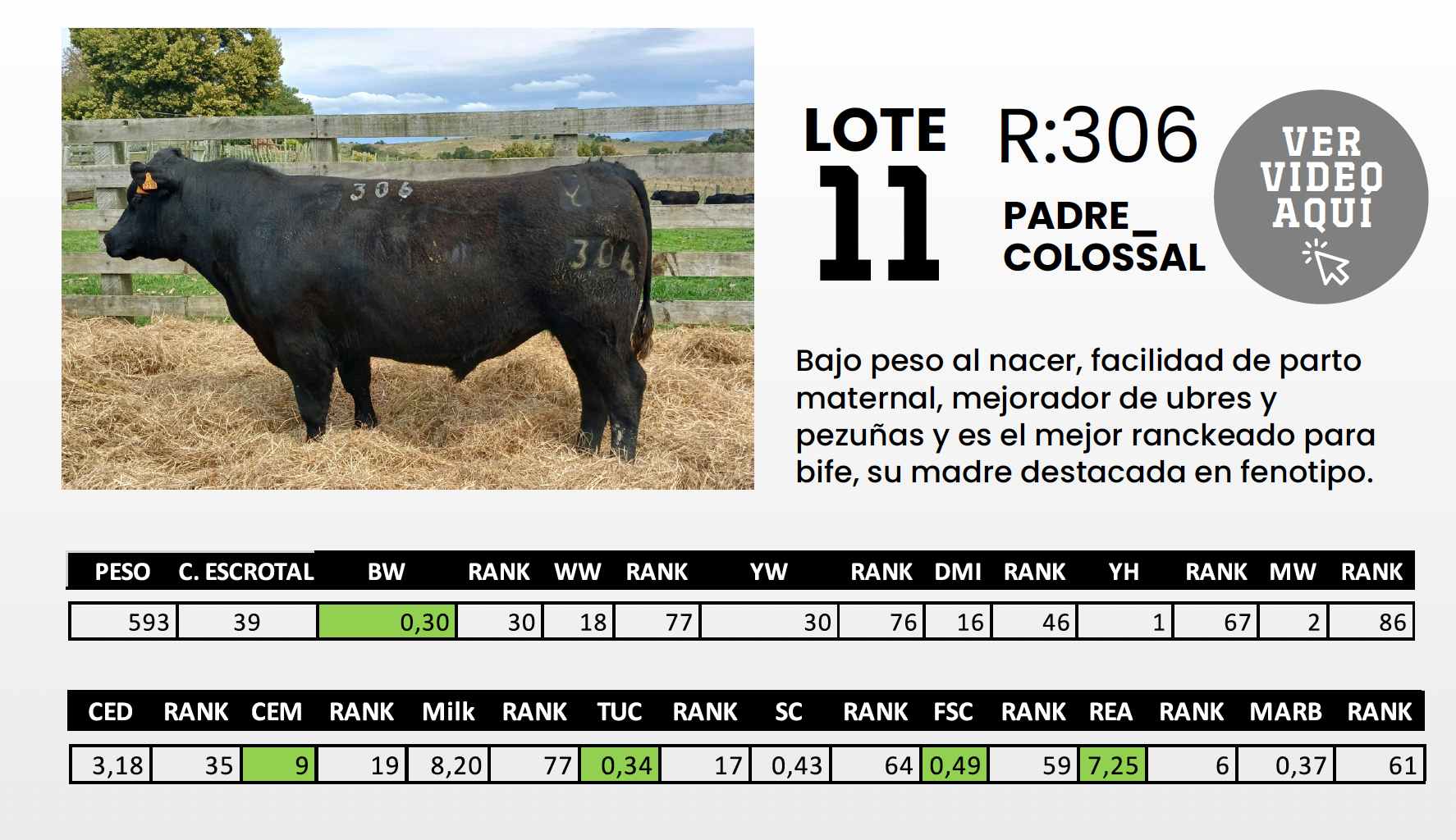 Foto del lote