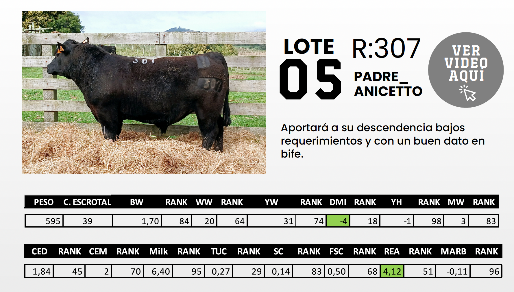 Foto del lote