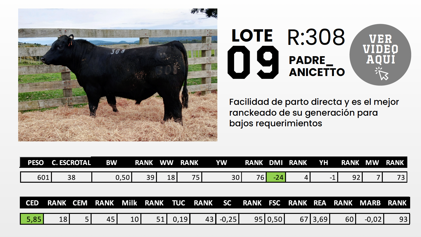 Foto del lote