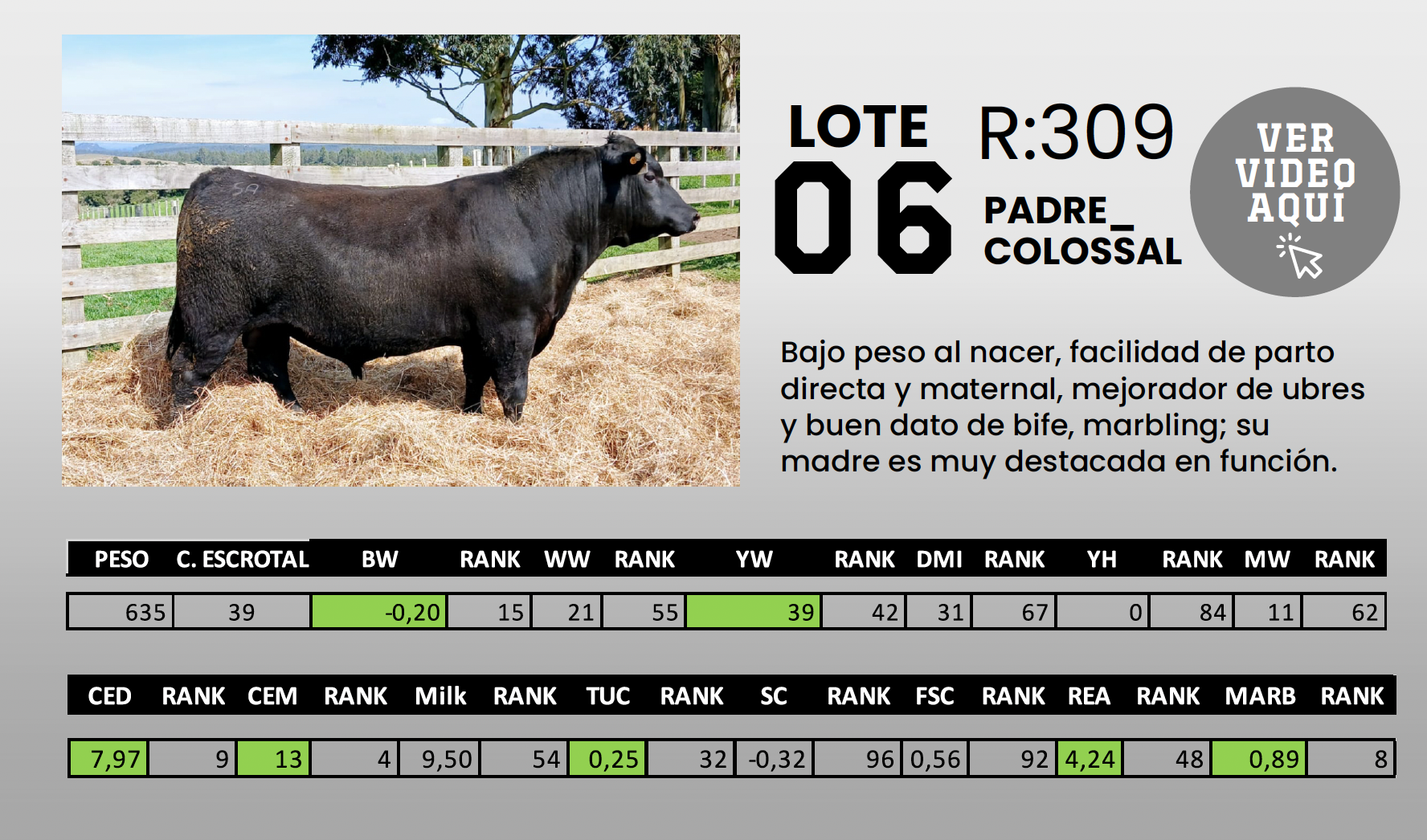 Foto del lote