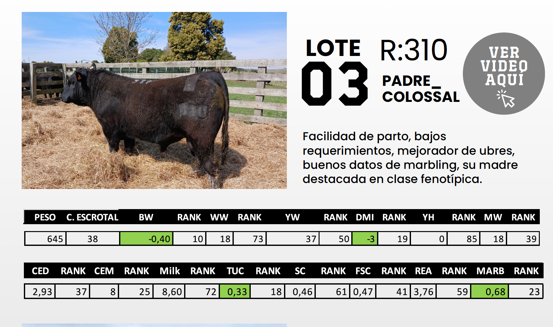 Foto del lote