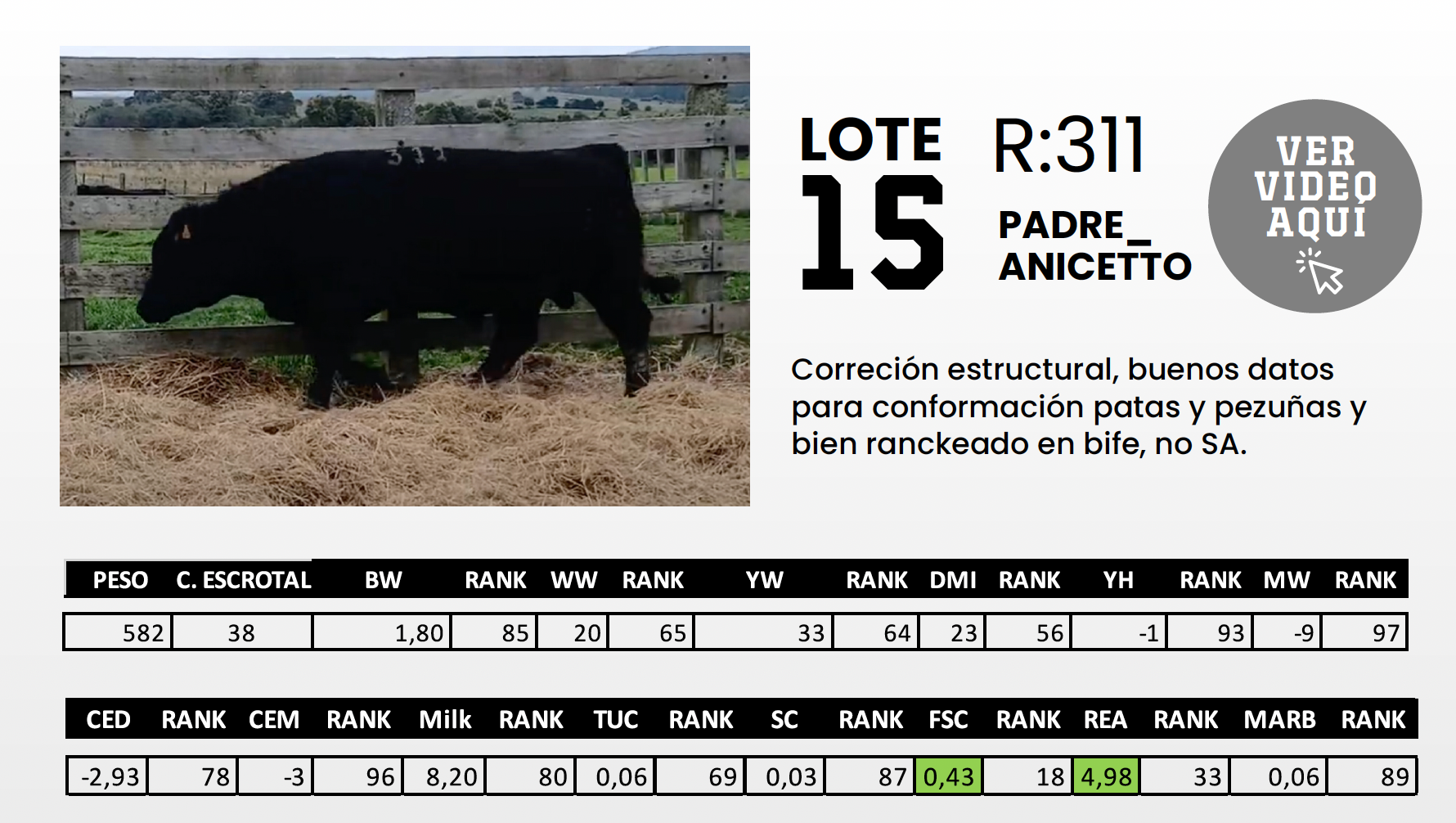 Foto del lote