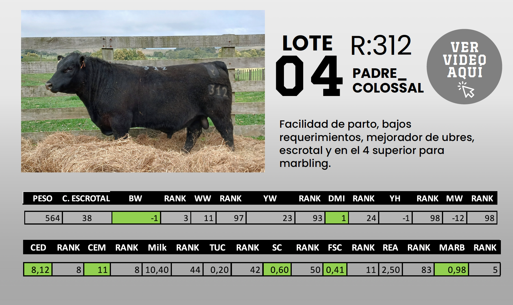 Foto del lote