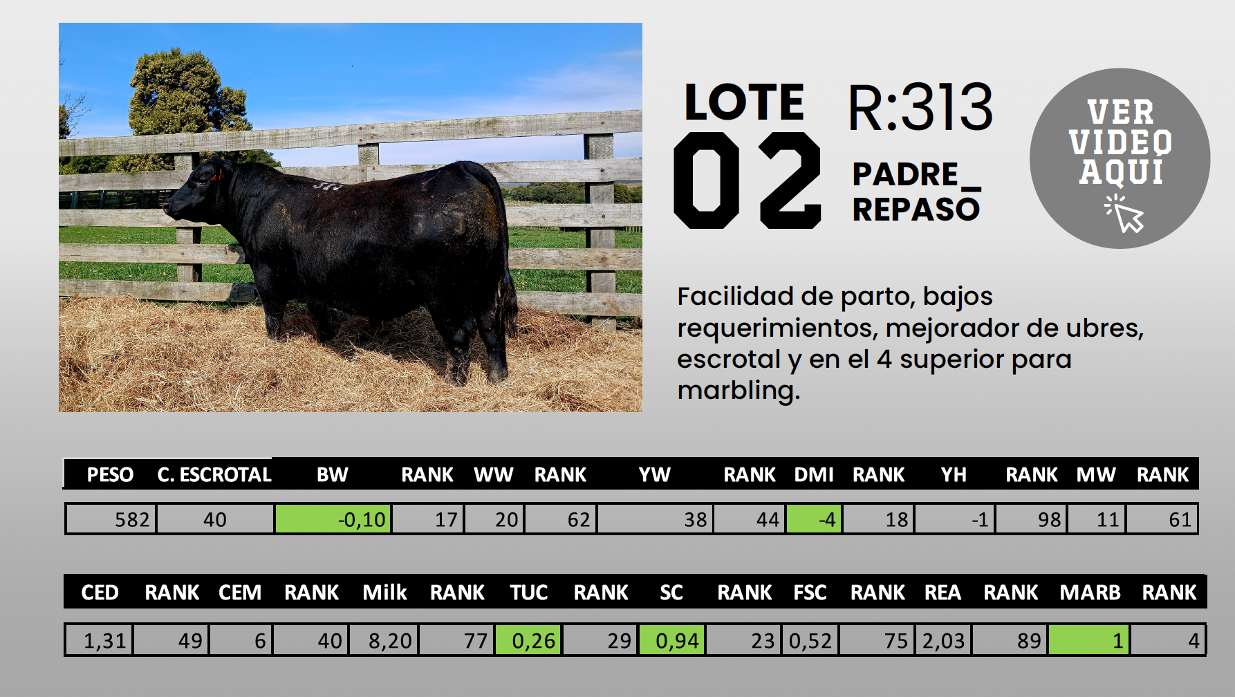Foto del lote