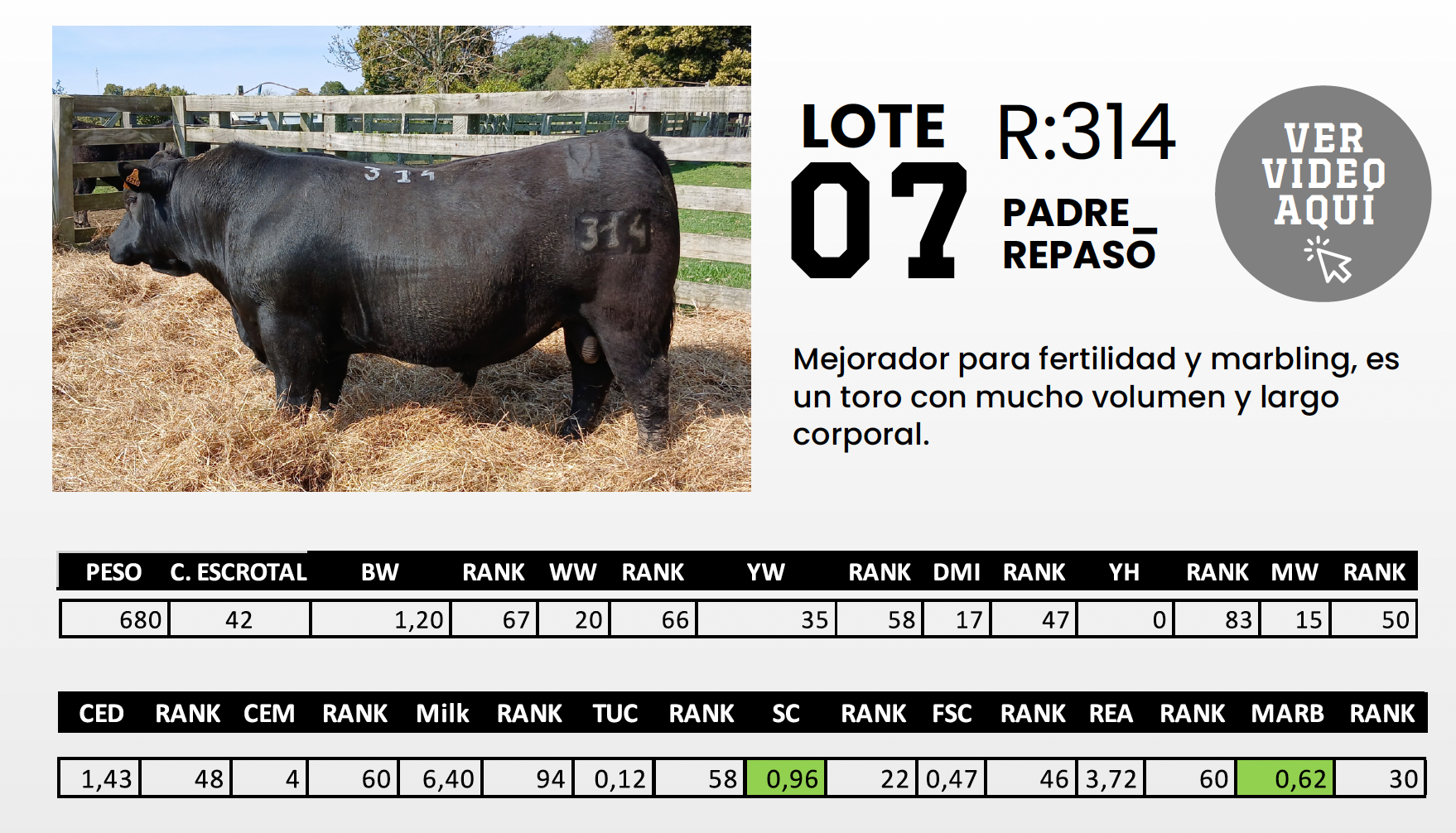 Foto del lote