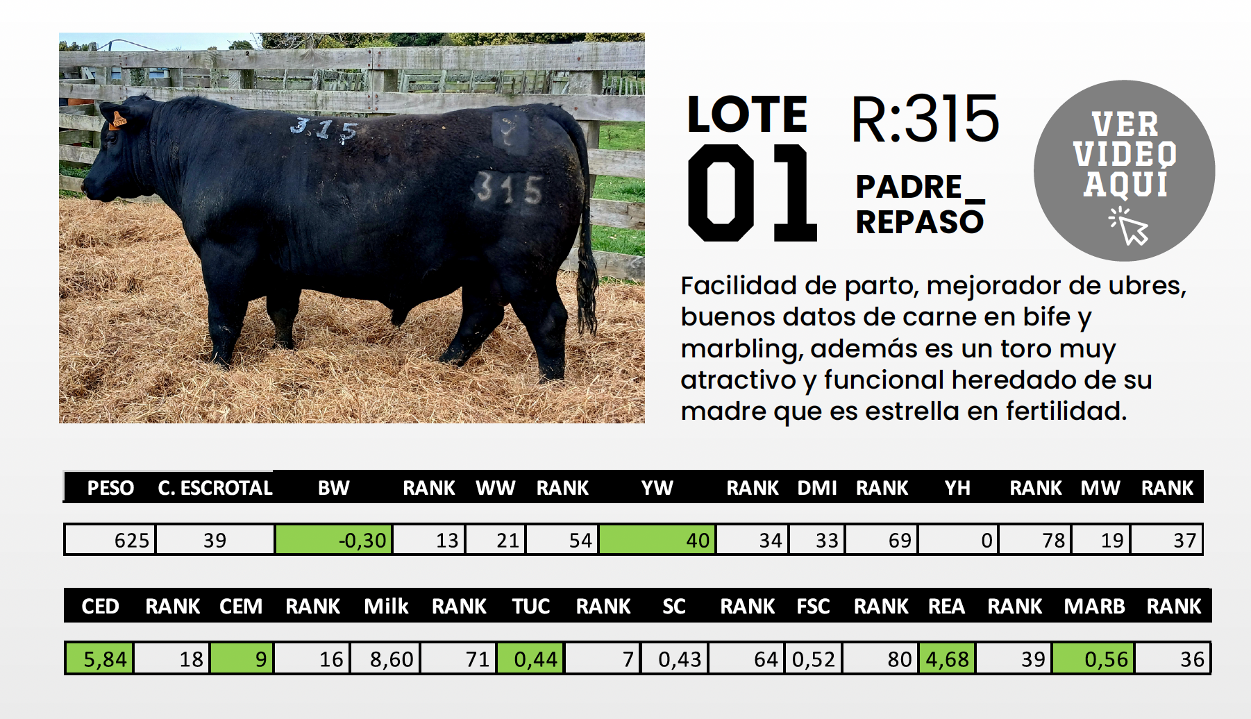 Foto del lote