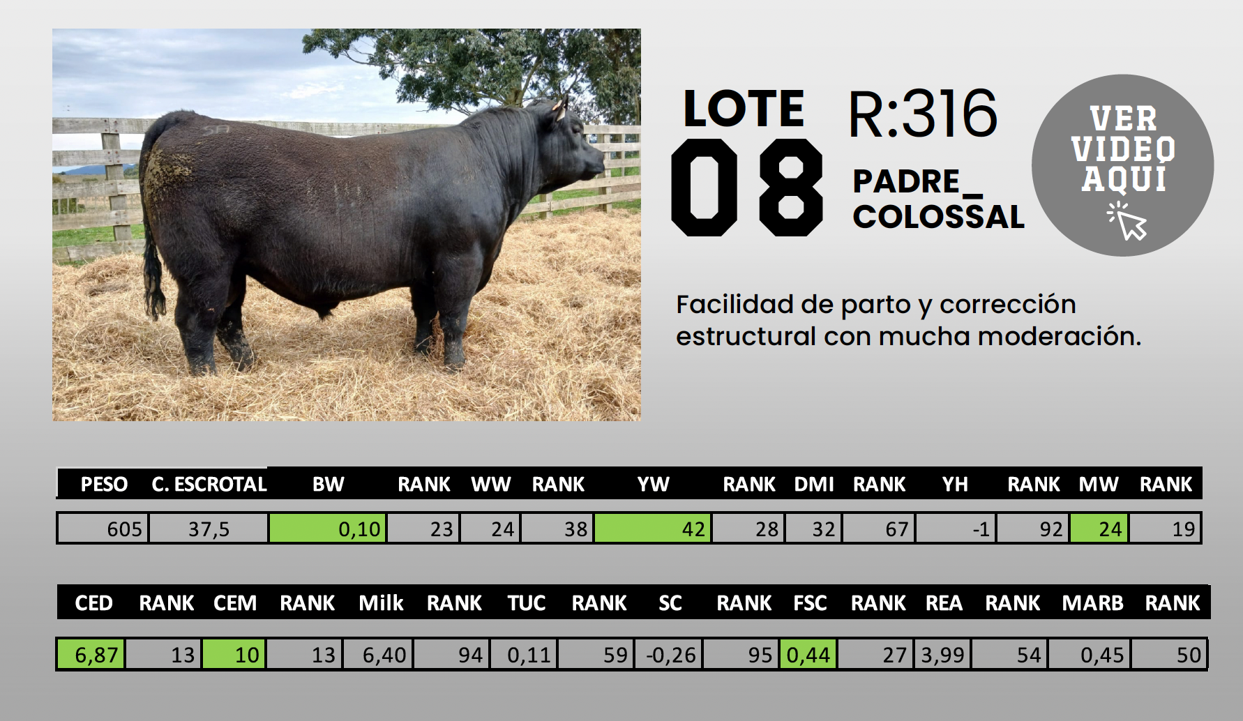 Foto del lote