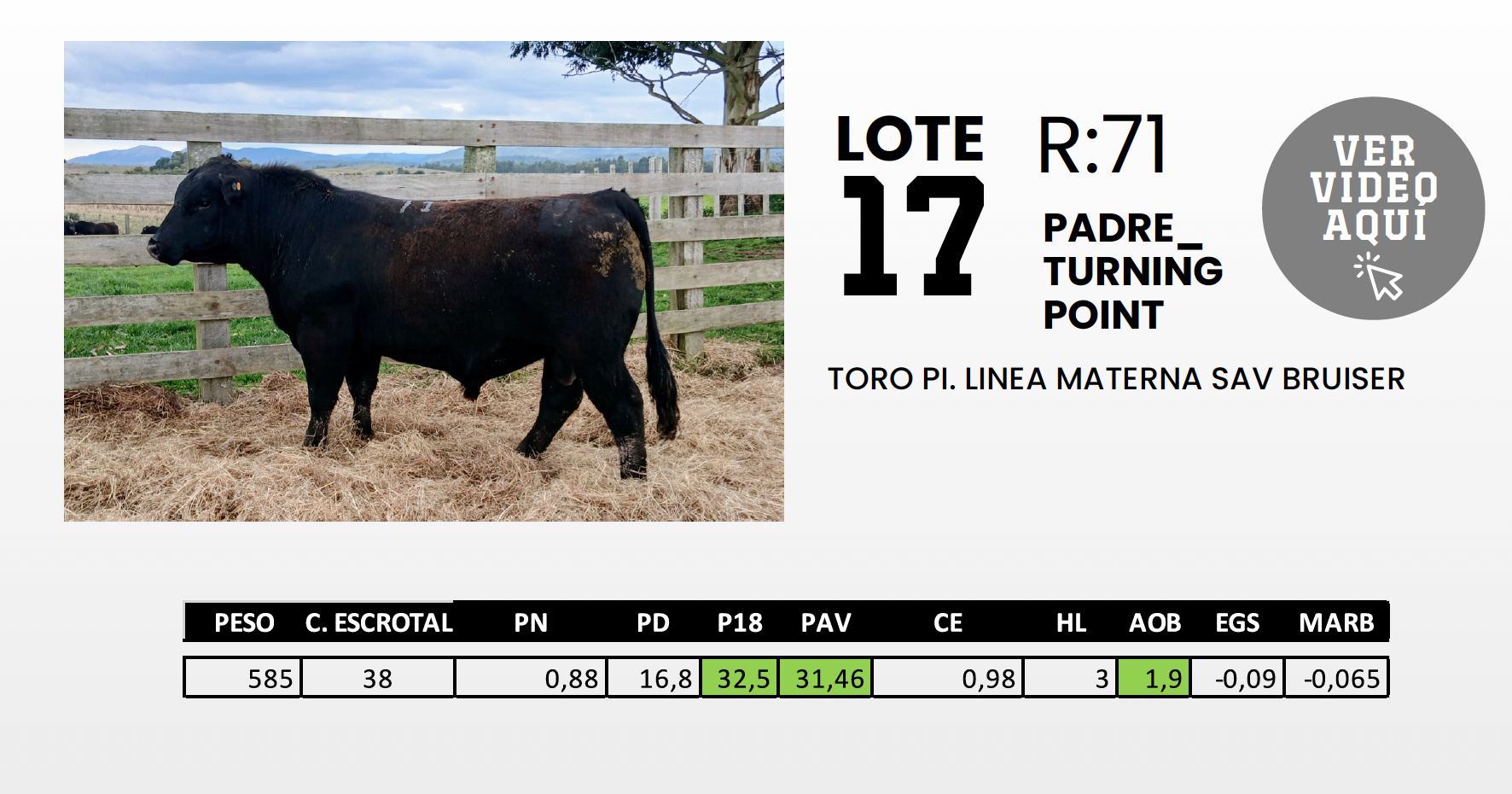 Foto del lote