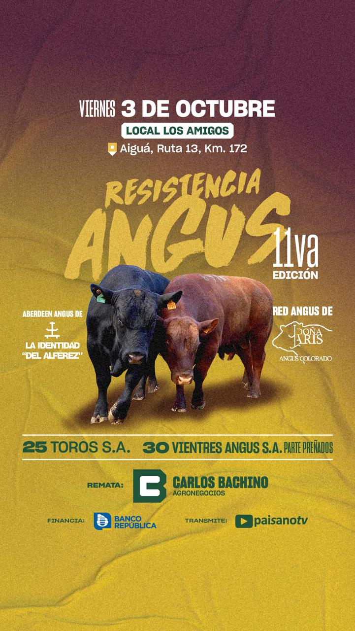 Resistencia Angus 11va Edición 