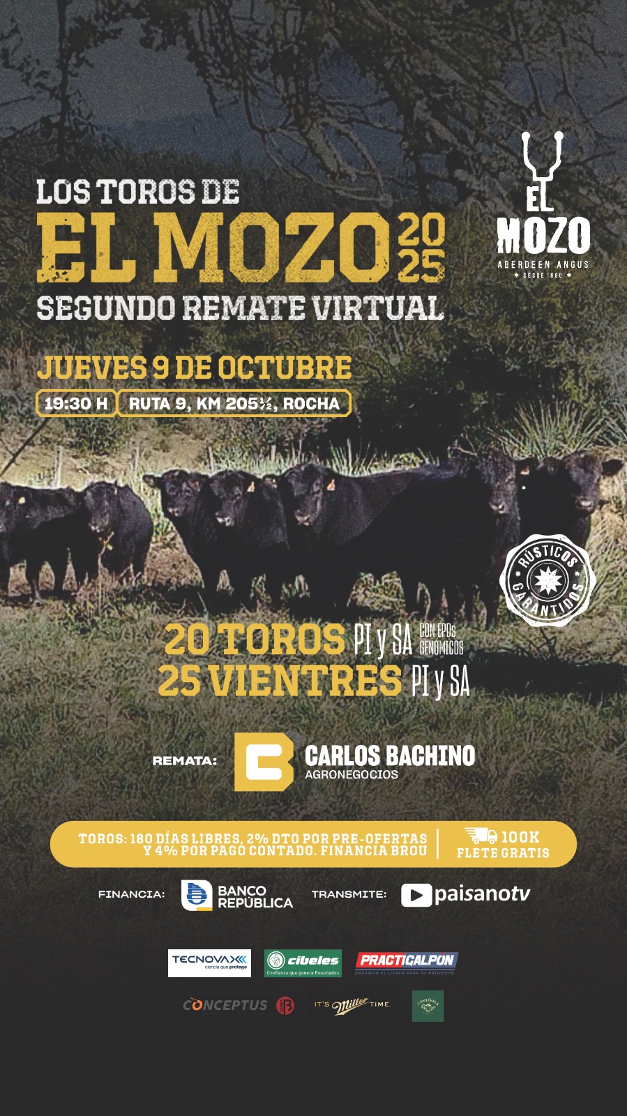LOS ANGUS DE «EL MOZO»