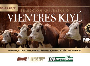 Vientres de Kiyú