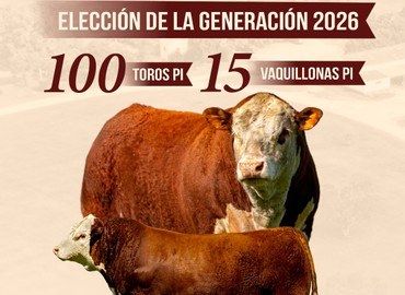 Portada del remate